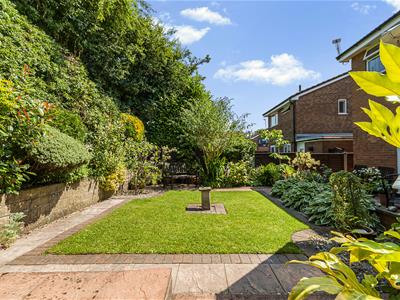Picture 36
